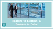 Reasons to Establish a Business in Dubai