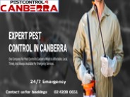 Pest Control 4 Canberra
