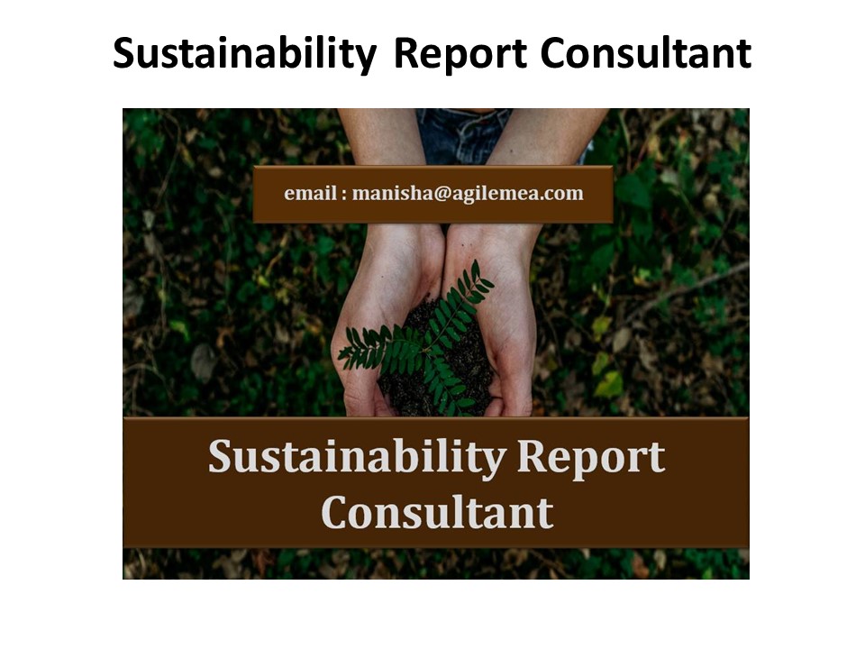 Sustainability Report Consultant (1)