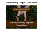 Sustainability Report Consultant (1)