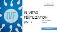 In Vitro Fertilization (IVF)