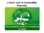 A Closer Look at Sustainability Reporting