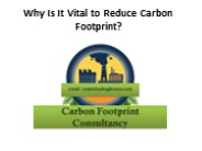 Why Is It Vital to Reduce Carbon Footprint?