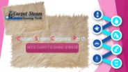 Carpet Steam Cleaning Perth