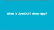 What is UberEATS clone app? (1)