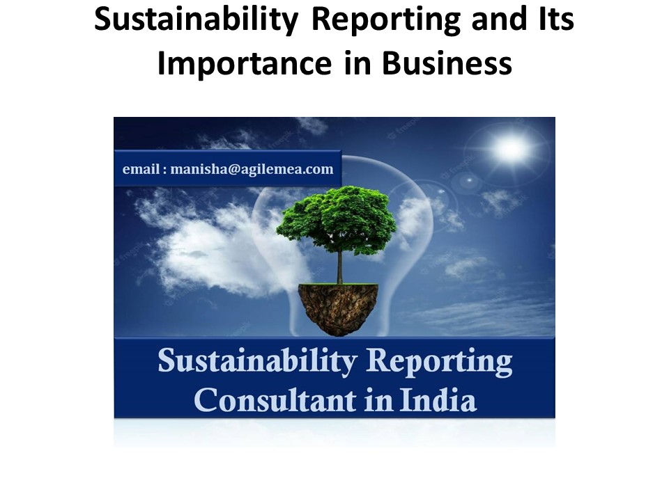 Sustainability Reporting and Its Importance in Business