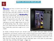 Gun Safe