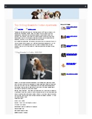 Best Small Dog Breeds For Apartments In India