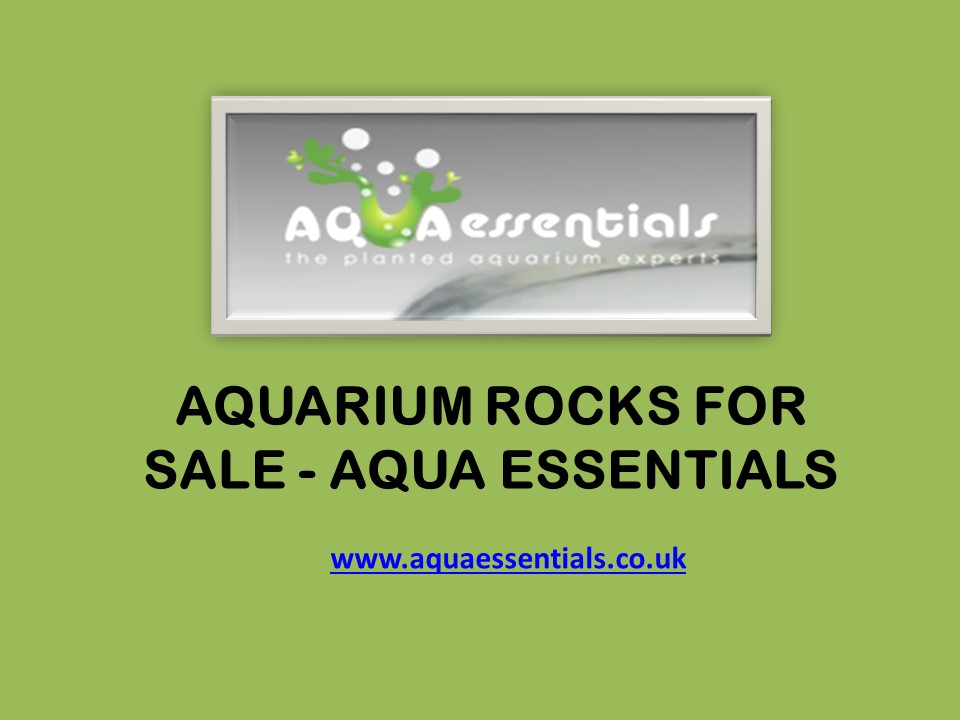 Aquarium Rocks For Sale - Aqua Essentials