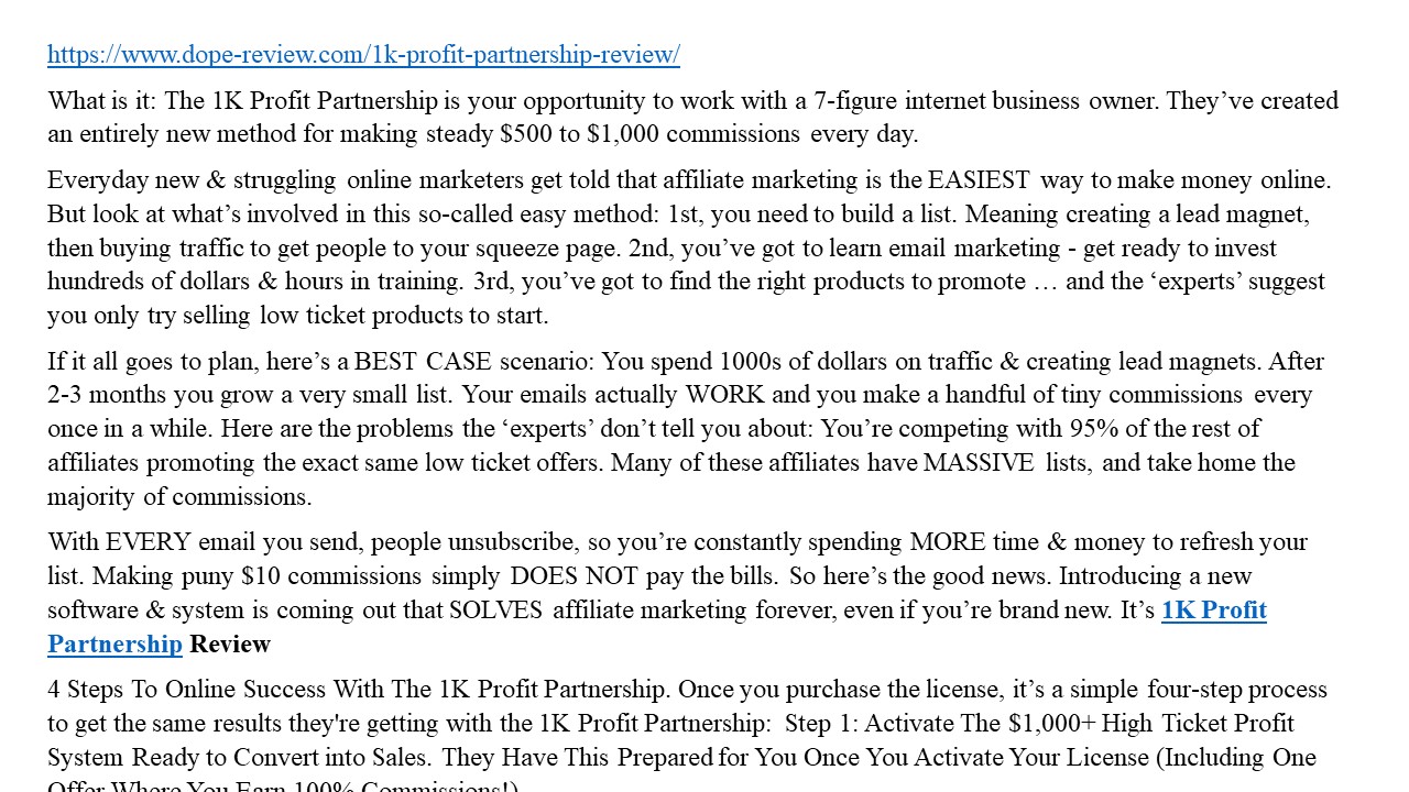 1K Profit Partnership Review