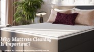 Why Mattress Cleaning is Important?