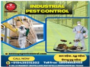 Top Pest Control Services In Bhubaneswar | Anusaya Pest Control