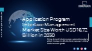 Application Program Interface Management Market