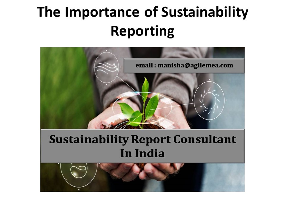 The Importance of Sustainability Reporting