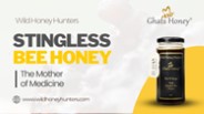 Stingless bee honey from Wild honey hunters