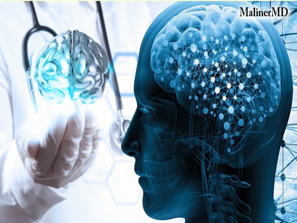 Brain Surgery Doctor in Florida (2)