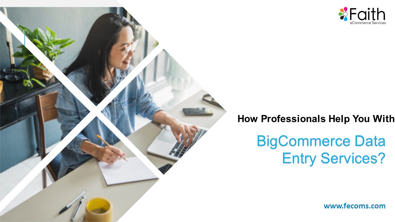 How Professionals Help you with BigCommerce Data Entry Services?