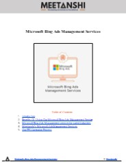 Microsoft Bing Ads Management Services
