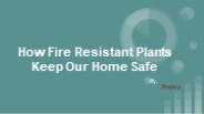 How Fire Resistant Plants Keep our Home Safe