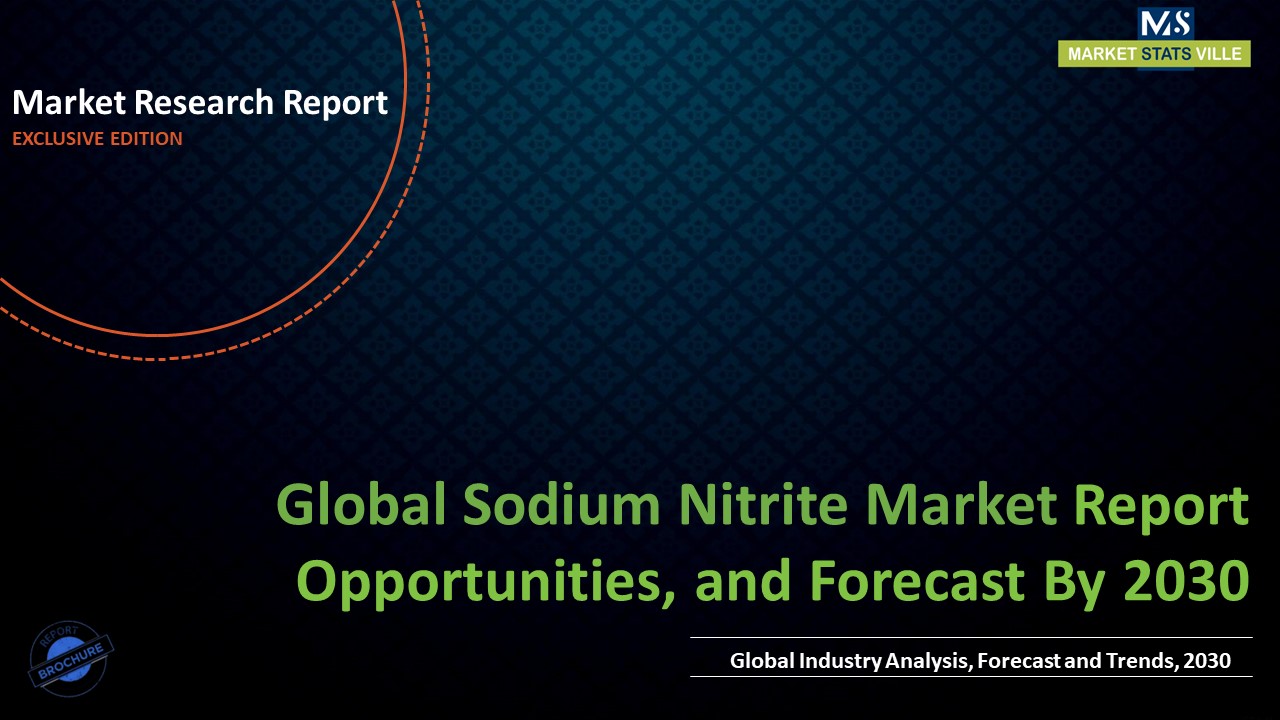 Sodium Nitrite Market to Reach US$ 564.6 million by 2030
