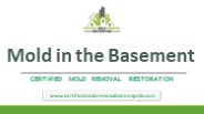 Mold In The Basement
