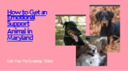 Emotional Support Animal in Maryland