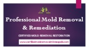 Professional Mold Removal & Remediation 