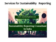 Services for Sustainability Reporting