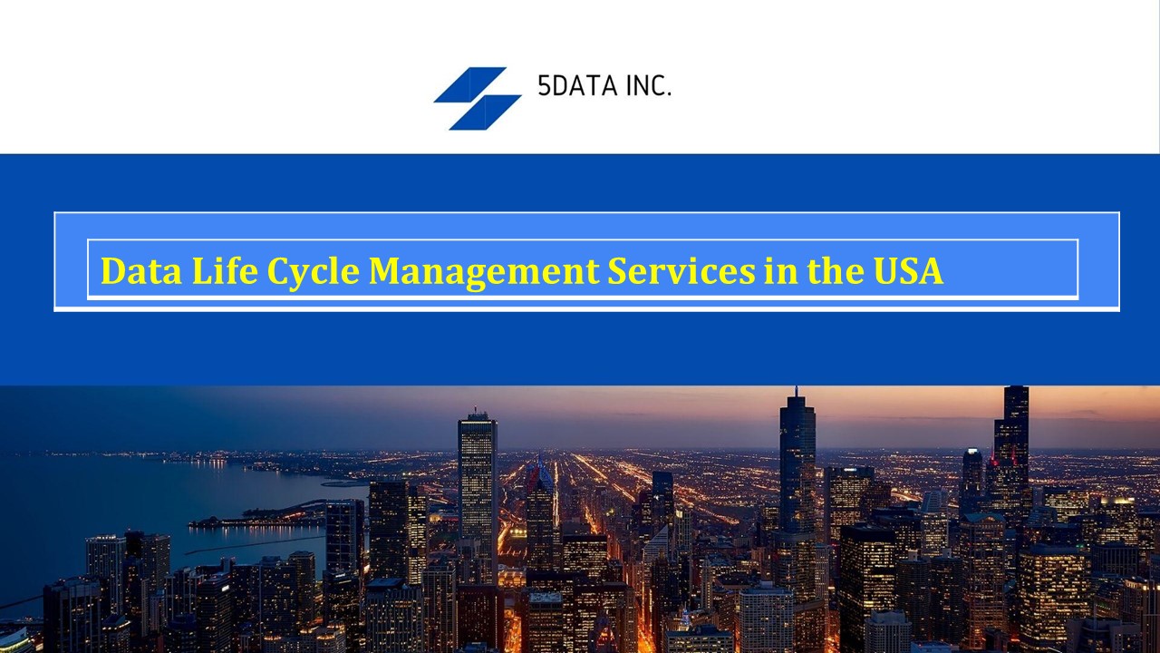 Best DATA LIFECYCLE MANAGEMENT SERVICES| Data Ingestion