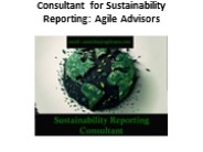 Consultant for Sustainability Reporting: Agile Advisorsv