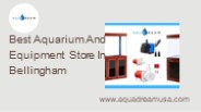 Best Aquarium And Equipment Store In Bellingham