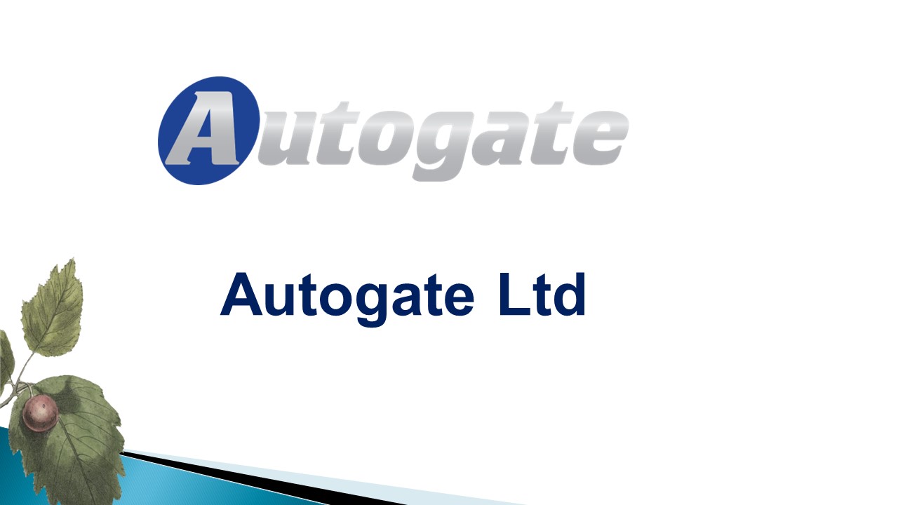 Electric Gates Installation Hampshire