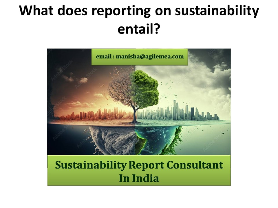 What does reporting on sustainability entail?