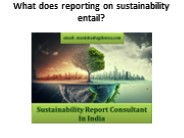 What does reporting on sustainability entail?