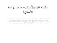 لماذا تتفوق زراعة الأسنان All-On-4 على حلول الأسنان الأخرى