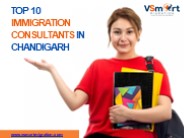 Top 10 Immigration Consultants in Chandigarh (2022- 2023)
