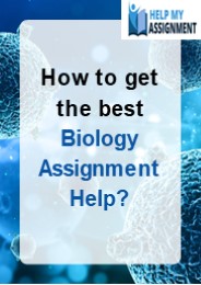 How to get the best Biology Assignment Help?