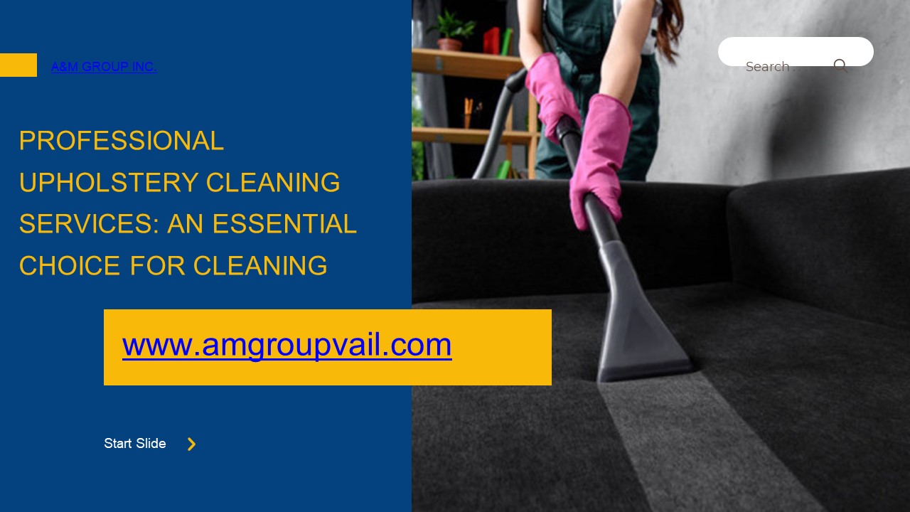Professional Upholstery Cleaning Services: An Essential Choice for Cleaning