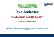 Scuba Diving At Neil Island