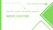Everything to Know About Weed Doctor