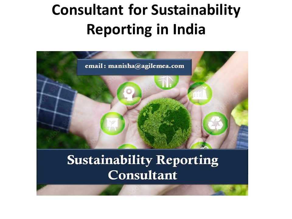 Consultant for Sustainability Reporting In India