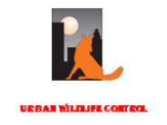 Low-cost pest control services