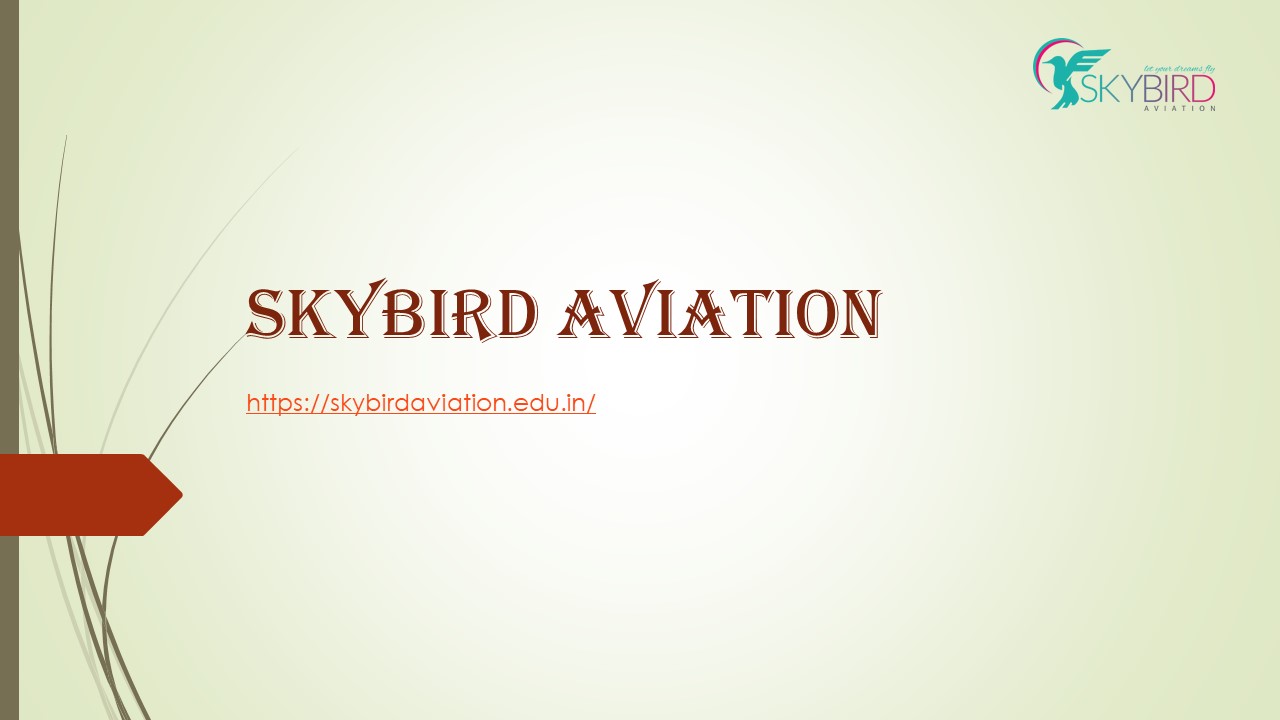 Skybird Aviation