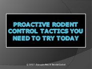 Proactive Rodent Control Tactics You Need to Try Today