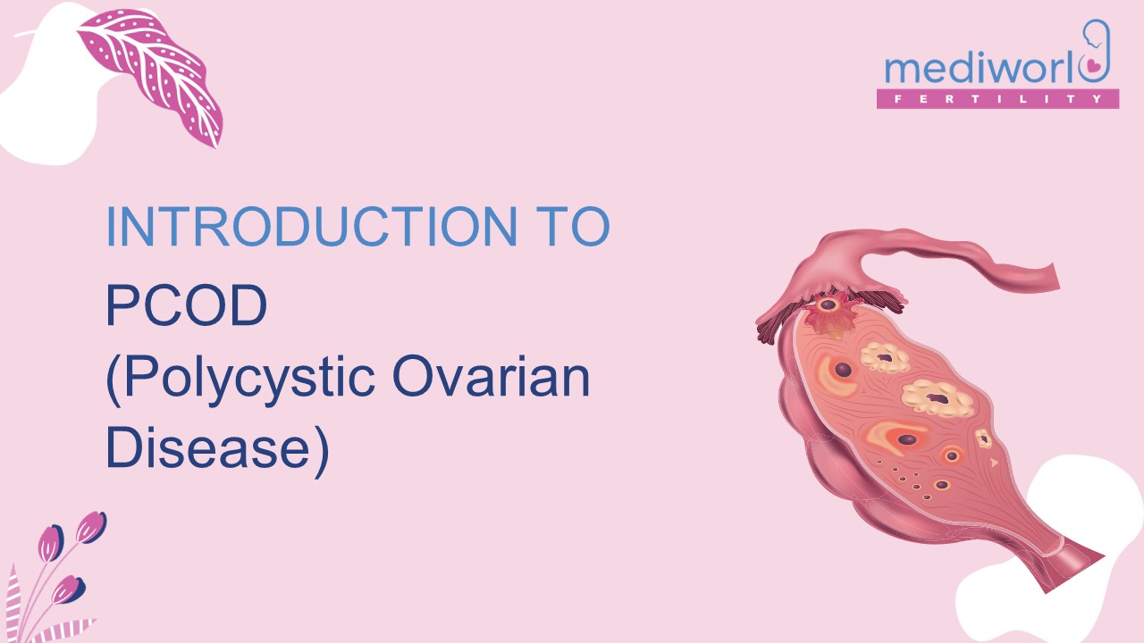 presentation player overlay