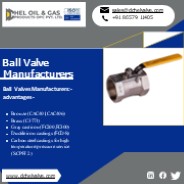 Check Valve | Plug Valve| Choke Valves - DChel Valves