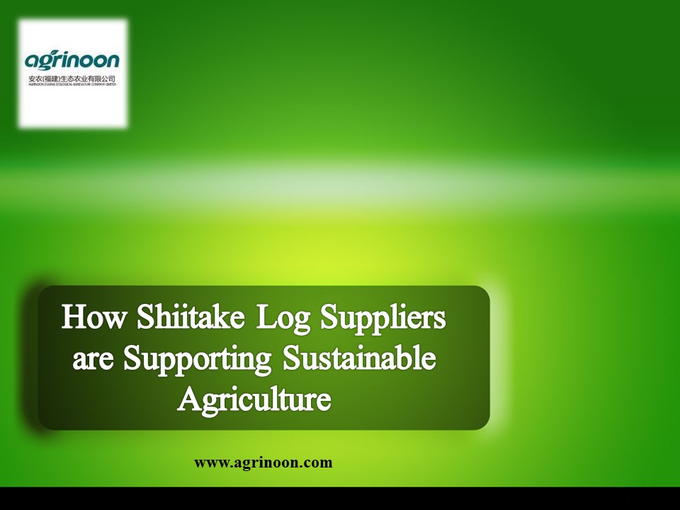 How Shiitake Log Suppliers are Supporting Sustainable Agriculture