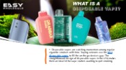 What is a Disposable Vape?