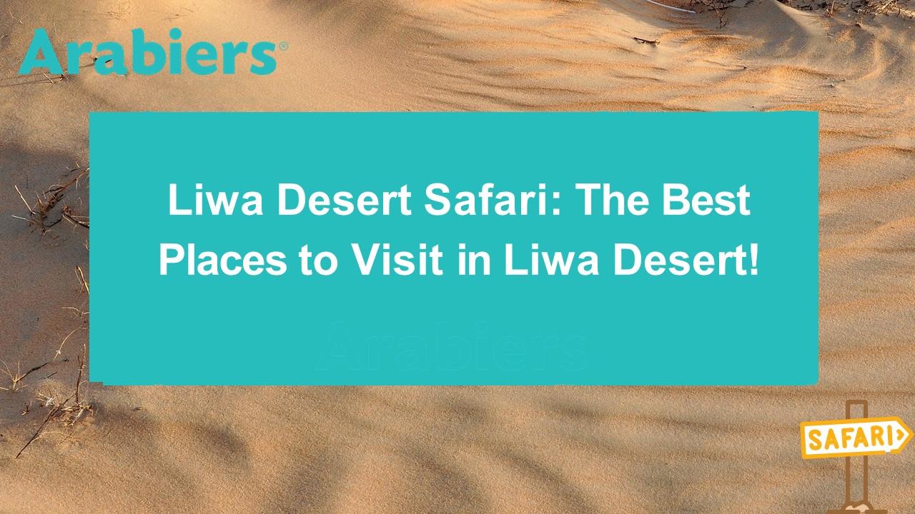 Liwa Desert Safari: The Best Places to Visit in Liwa Desert!
