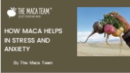 How Maca Helps In Stress And Anxiety